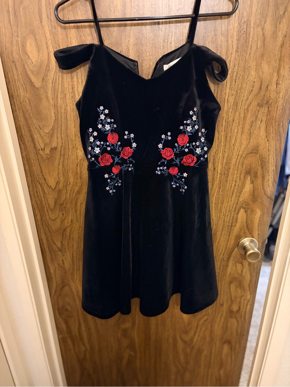 Francesca's Collections Black Velvet Dress with Red Rose Embroidery